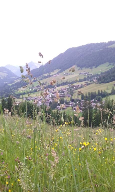 Anna'S Appartement Alpbach Eksteriør bilde